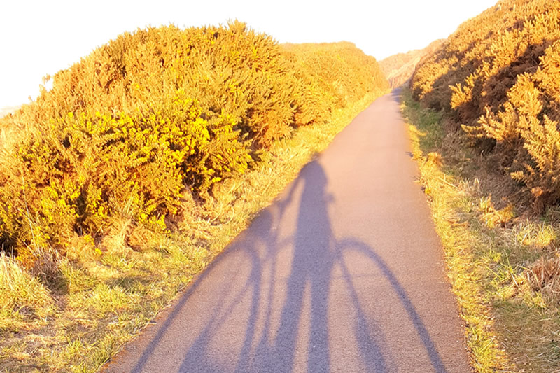 Shadow of cyclist on active travel route